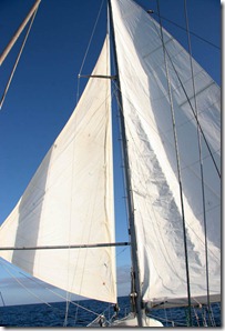 Wind in Our Sails