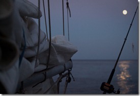 Fishing by Moonlight