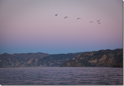 The Coastline of Santa Cruz Island