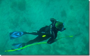 Paul Spearfishing